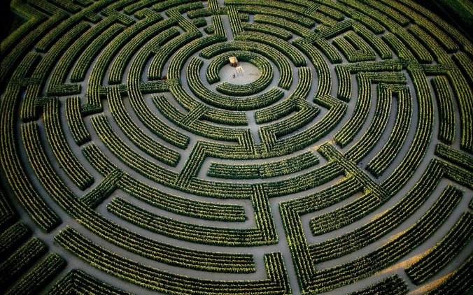 Maze